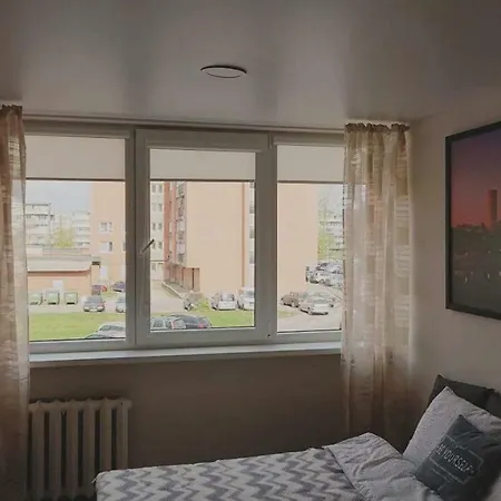 Studija29 *